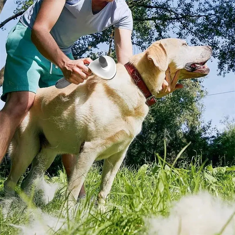 Petacademic ™ Pet Brush